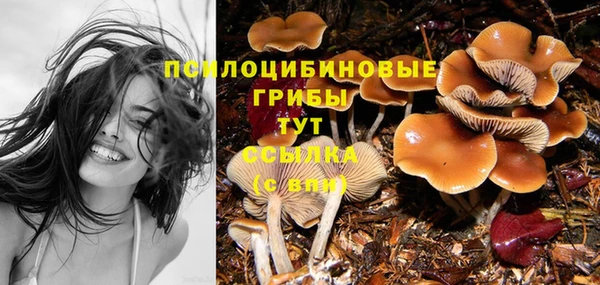 СК Зерноград