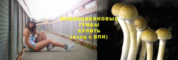 прущая мука Зеленокумск