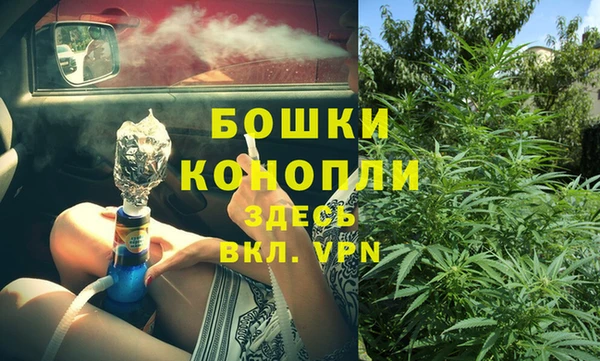 СК Зерноград