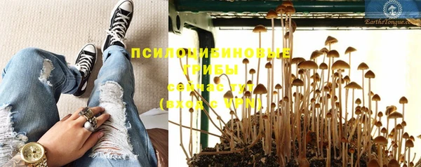 прущая мука Зеленокумск