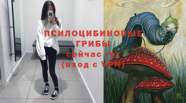 мдпв Зеленодольск