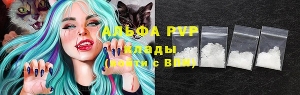 СК Зерноград