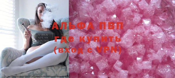 СК Зерноград
