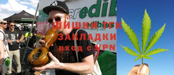 СК Зерноград