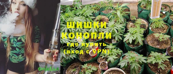 СК Зерноград