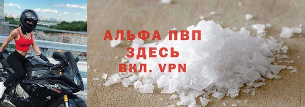 СК Зерноград